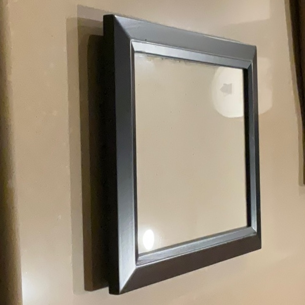 Black 8 by 10 Prinz frame (3 available)
